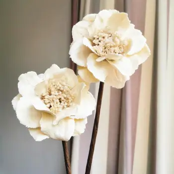 2STK,Naturlige Håndværk Magnolia Blomstrer Tørret Blomst Gren,Vise Blomster til Bryllup, boligindretning Tilbehør,Gift Evige Rose