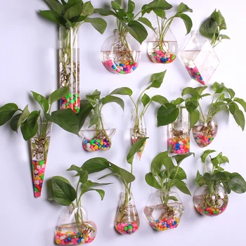 Glas Plantageejere Væggen Hængende Plante Luft Hængende Urtepotter Blomstervaser Luft Anlæg Terrarier Hængende Plantekasser