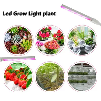 LEDGLE 3W LED vækst Lys Anlæg Lamper Effektiv planta de luz med UV Voksende Lampe til Sætteplante Planter Fleksibel Slange Plante Lys